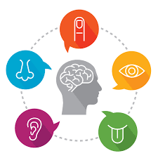 fivesenses